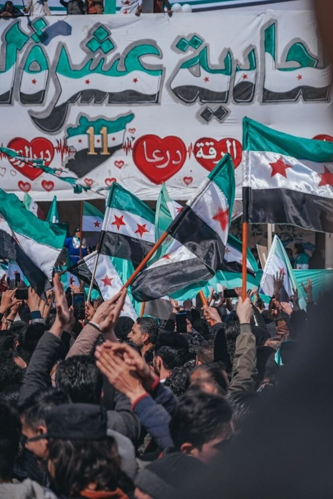 pexels photo 11703096.jpeg